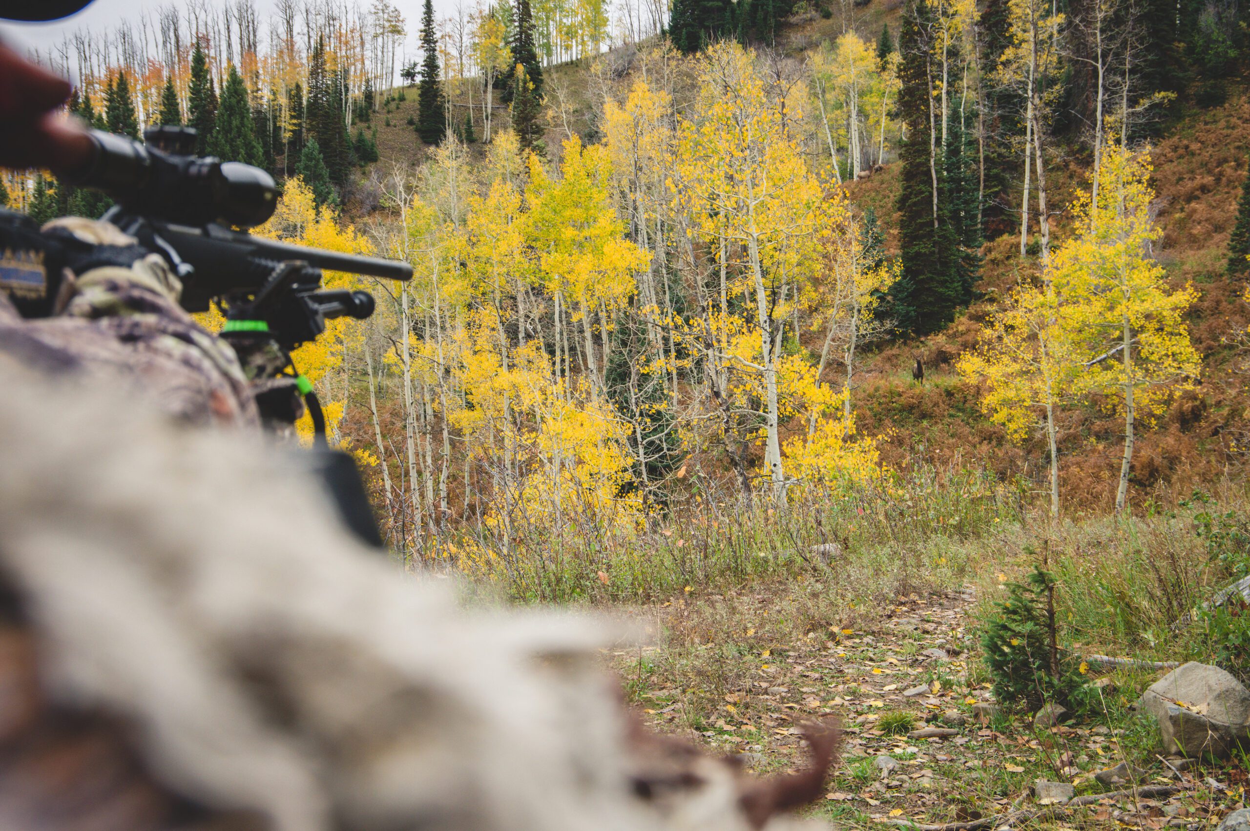 Hunting with a rifle