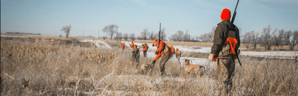 Pheasant hunting