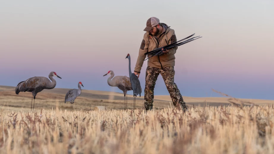 etting-up-bird-decoys setting up bird decoys