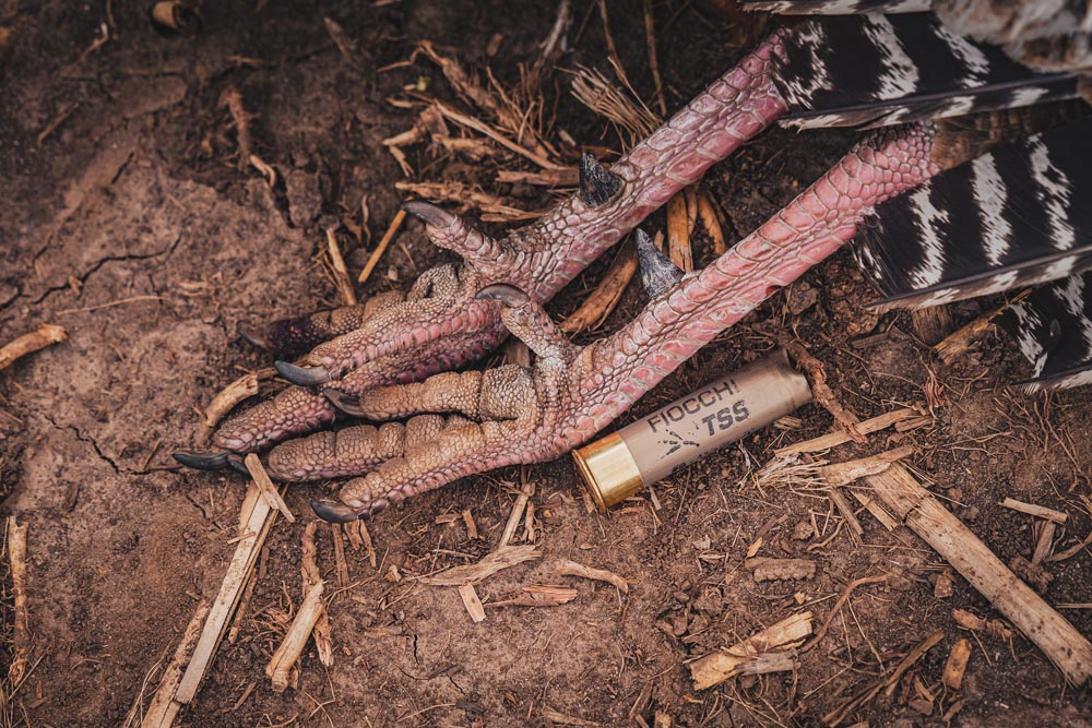 Savage_MinnesotaTurkeyHunt_051922-78_ds-Savage-Arms a bird's feet with a shell on the ground