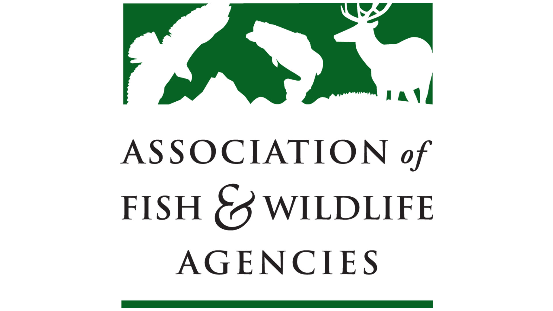 Association of Fish and Wildlife Agencies