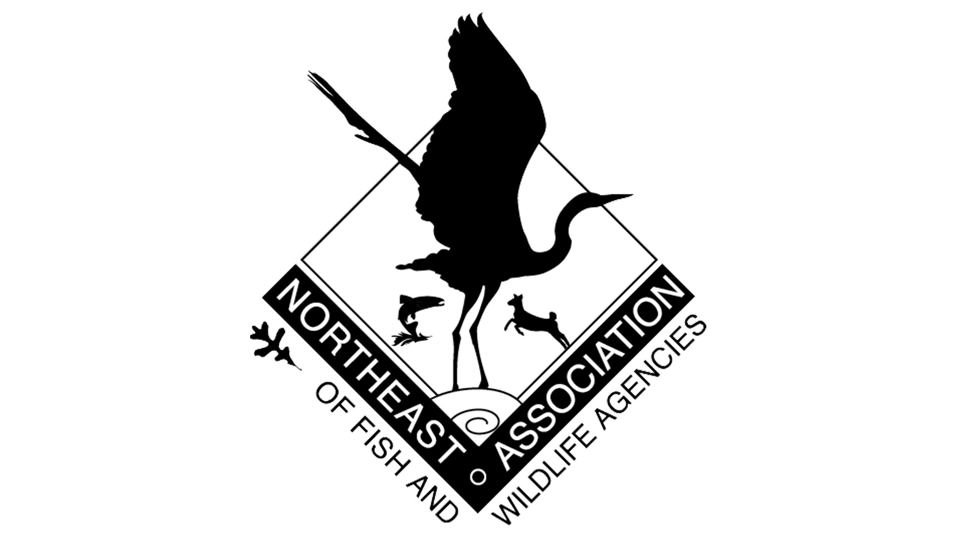 Northeast Association of Fish and Wildlife Agencies